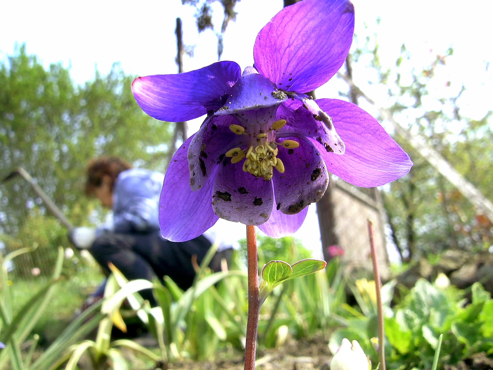 PIC_0034.JPG