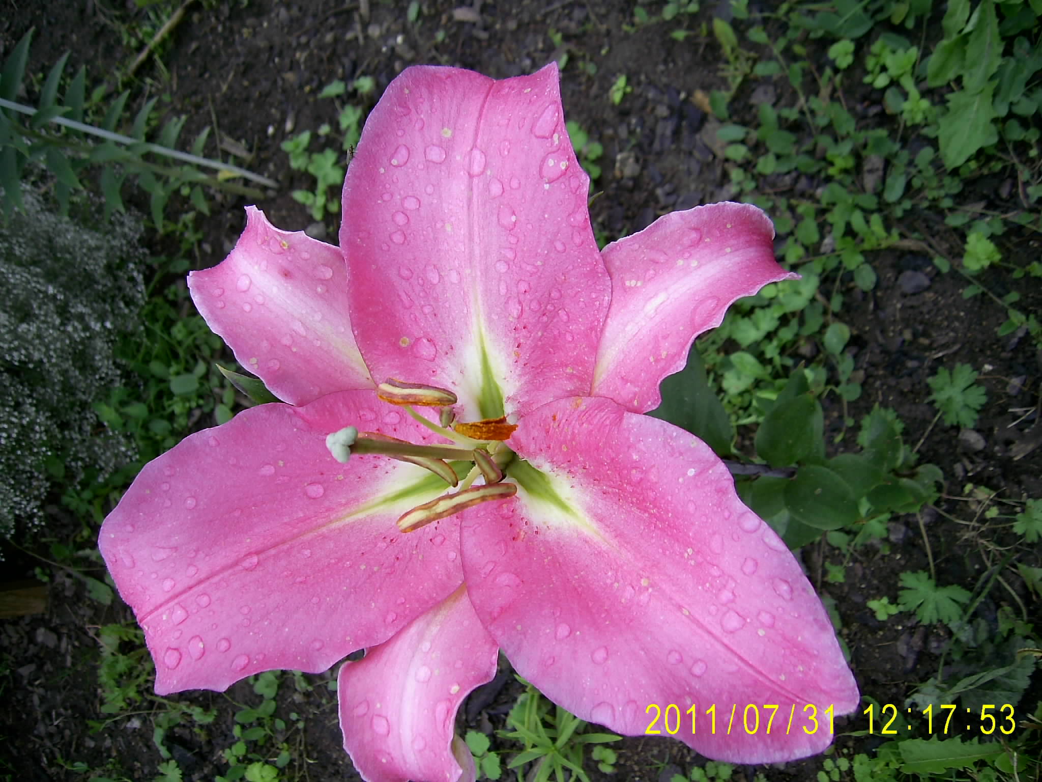 084