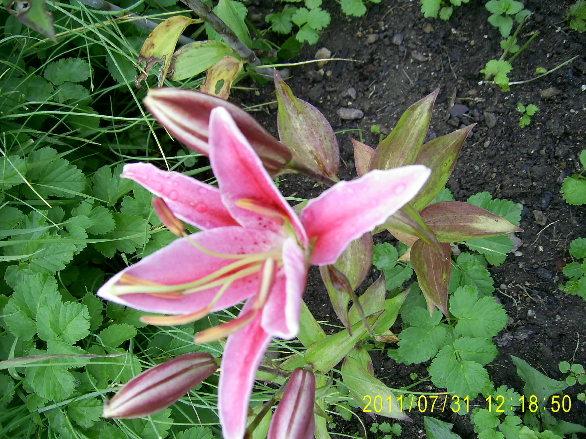 086