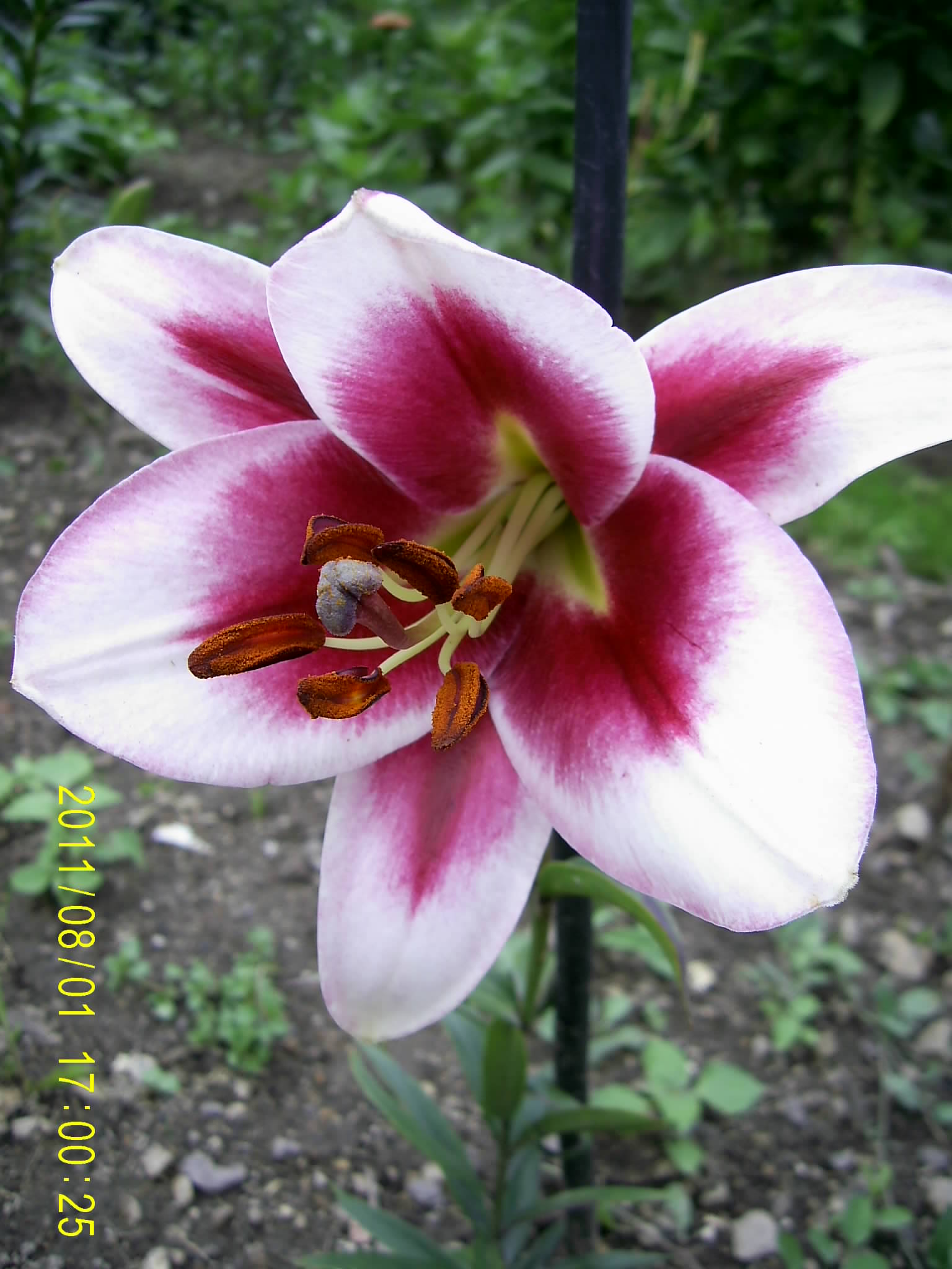 044
