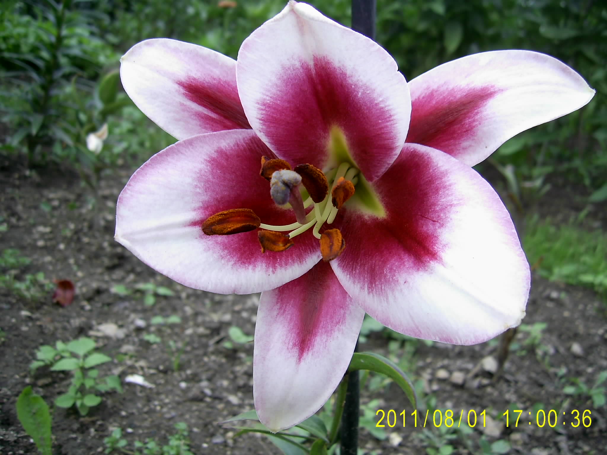 045