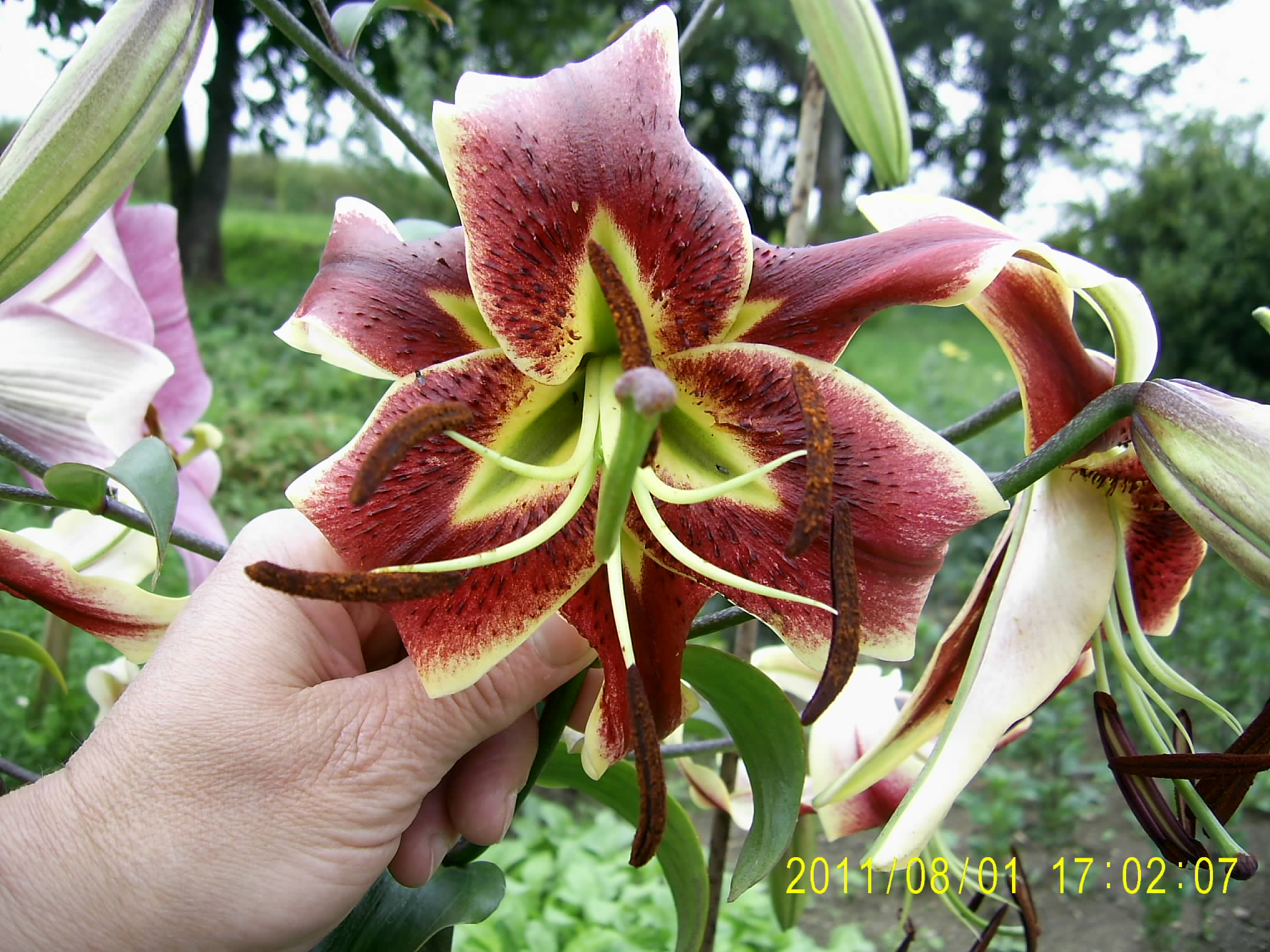 046