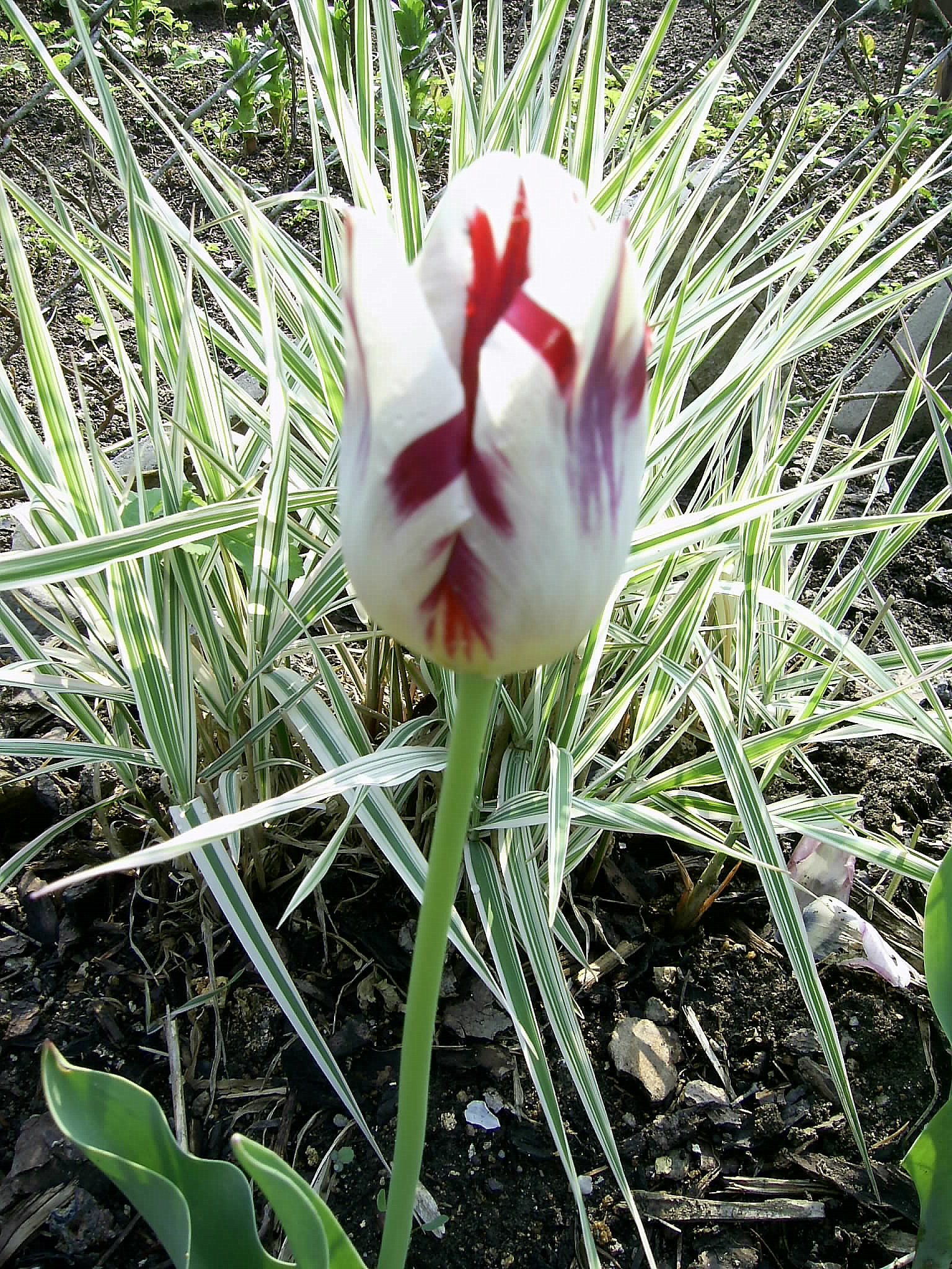 PIC_0021.JPG