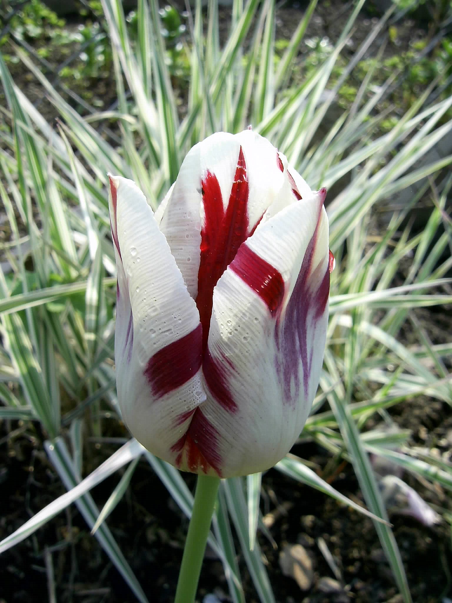 PIC_0022.JPG