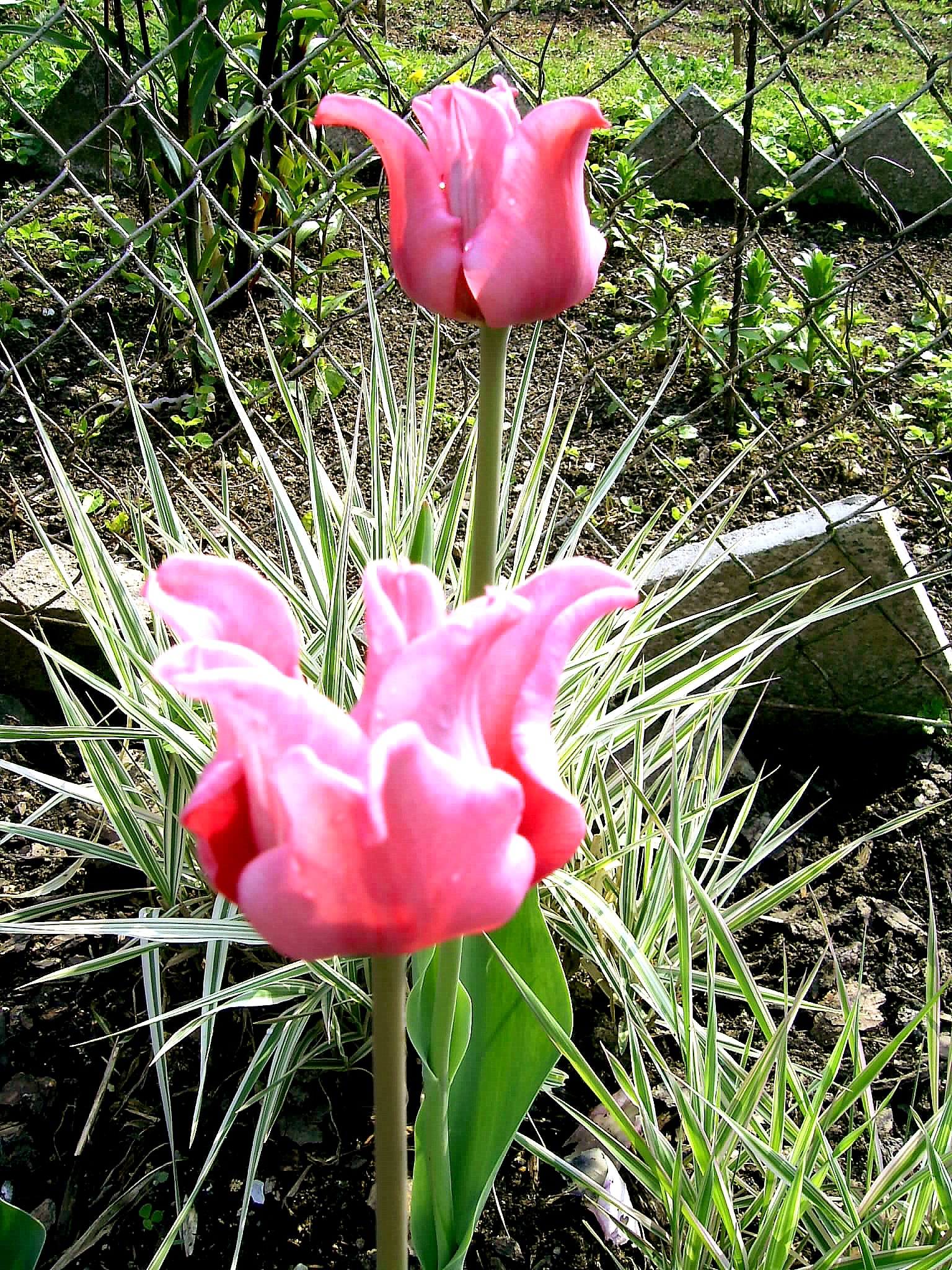 PIC_0023.JPG